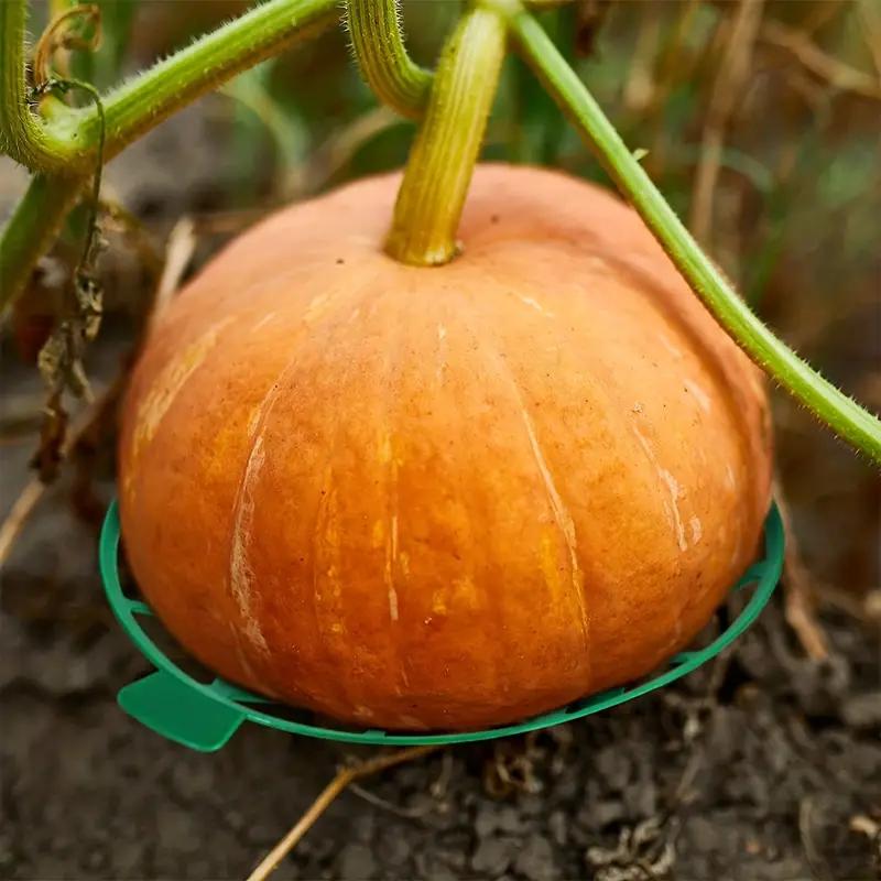 Gardening Melon And Fruit Tray, Household Watermelon Tray,Garden Fruit Anti- Rotting Bracket,Plastic Stable Tray, Watermelon She