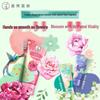 Mentholatum Dual Effect & Rose Hand Cream Set