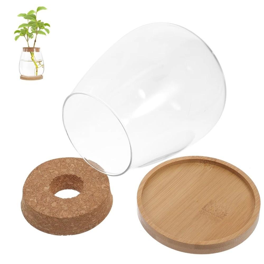 Transparent Tabletop Plant Vase with Wooden Tray Mini Terrarium Glass Planter  Botanical Display