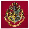 HARRY POTTER Bradavice Koberec