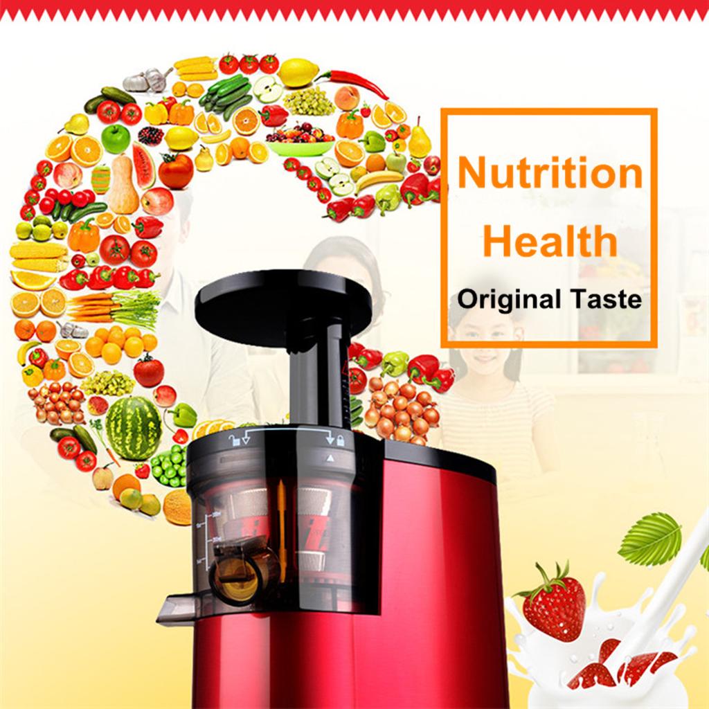 220V Electric Slow Juicer Fruits Vegetables Low Speed Juice Maker