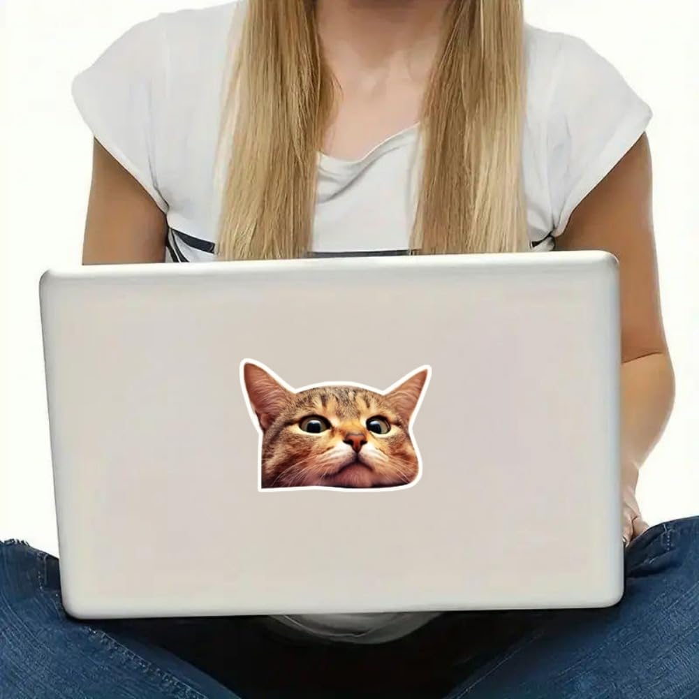 Cute Cat Window Vinyl Decal 5"x3.5" (Set of 2) Waterproof Car Truck SUV Laptop Glass Wall Indoor Outdoor | #AZ142