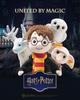 Steiff Hedwig 21cm 024214