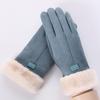 Women's Autumn Winter Touchscreen Suede Gloves, Velvet-Lined and Thickened for Warmth, Perfect for Cycling
