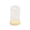 Miniature Lights Glass Cloche Warm Glow Tabletop Dome Modern Design Lighted Display Bell Jar for