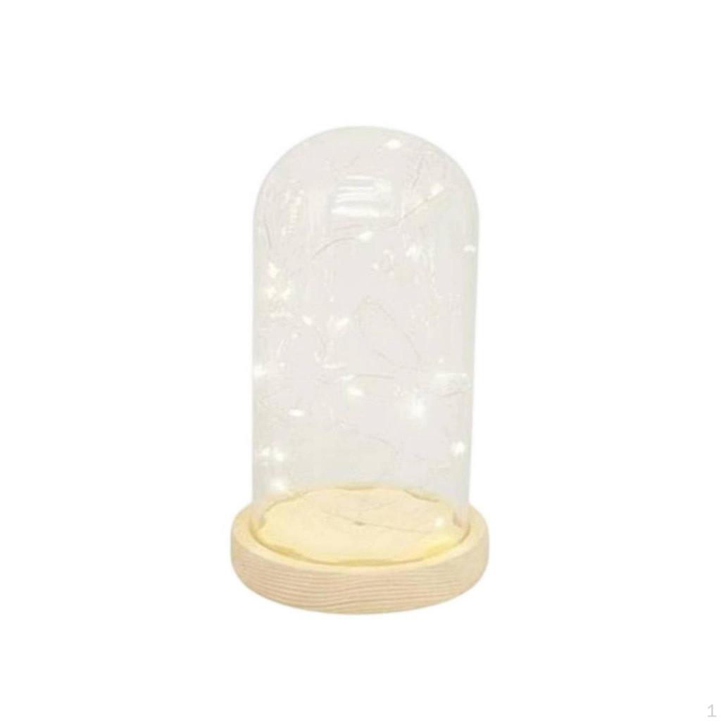 Miniature Lights Glass Cloche Warm Glow Tabletop Dome Modern Design Lighted Display Bell Jar for