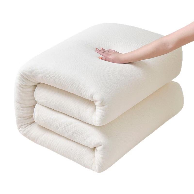 LISM Xinjiang Cotton All-Season Quilt
