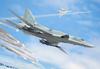 Litarki 1/144 Scale Russian Tupolev Tu-22M3 Backfire-C Swing-Glide Missile Bomber Plastic Model Kit UL14002 (Airplane)