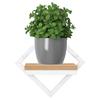 Doron White Craft Metal Wall Flower Stand