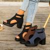 Plus-size Open-toe Platform Fish-mouth Sandals for Women, New High-heeled Shoes