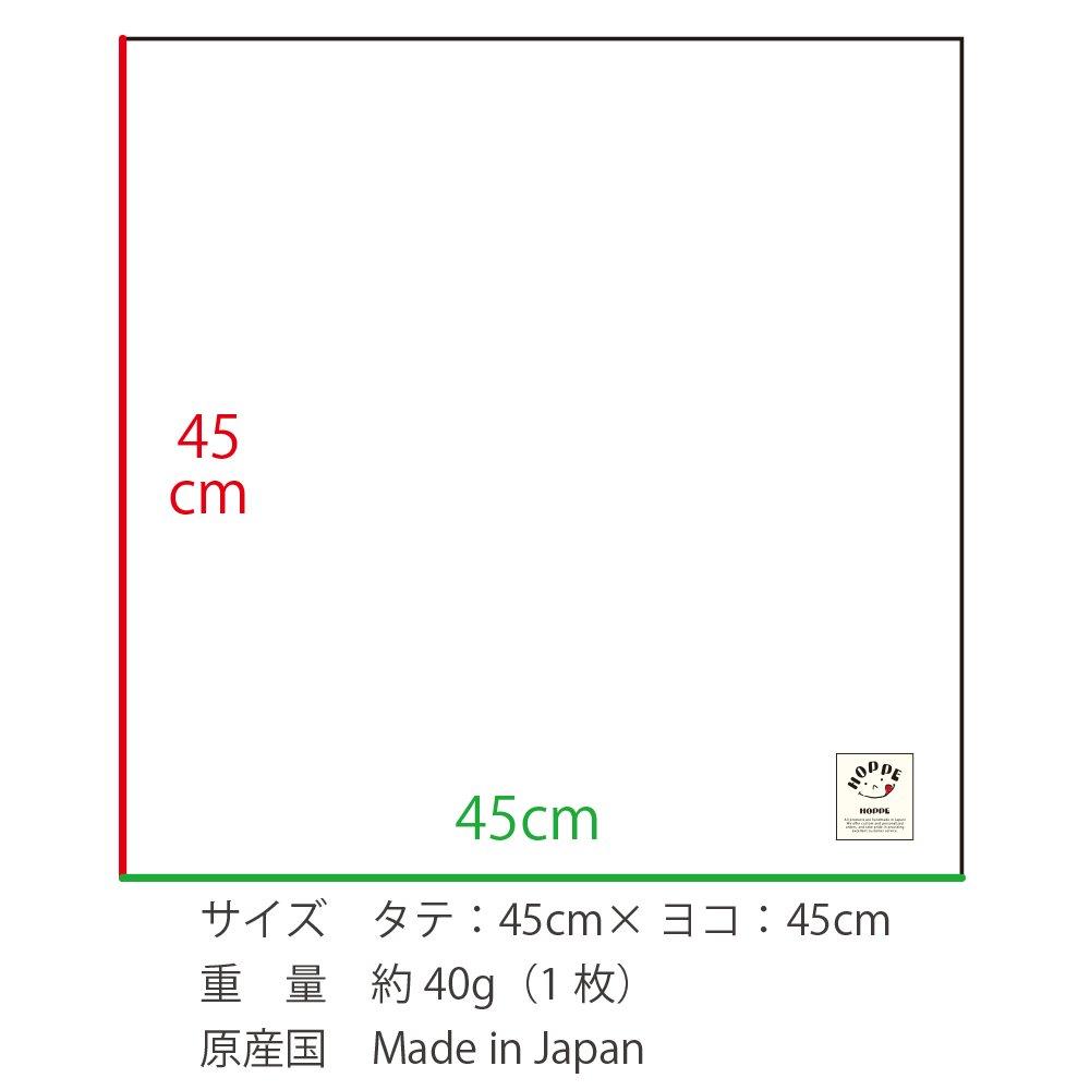 Salmon Pink Lunch Cloths (Set of 2) - Napkins and Lunch Mats for Lunchboxes, School Lunches, and Elementary School Students - Made In Japan by HOPPE