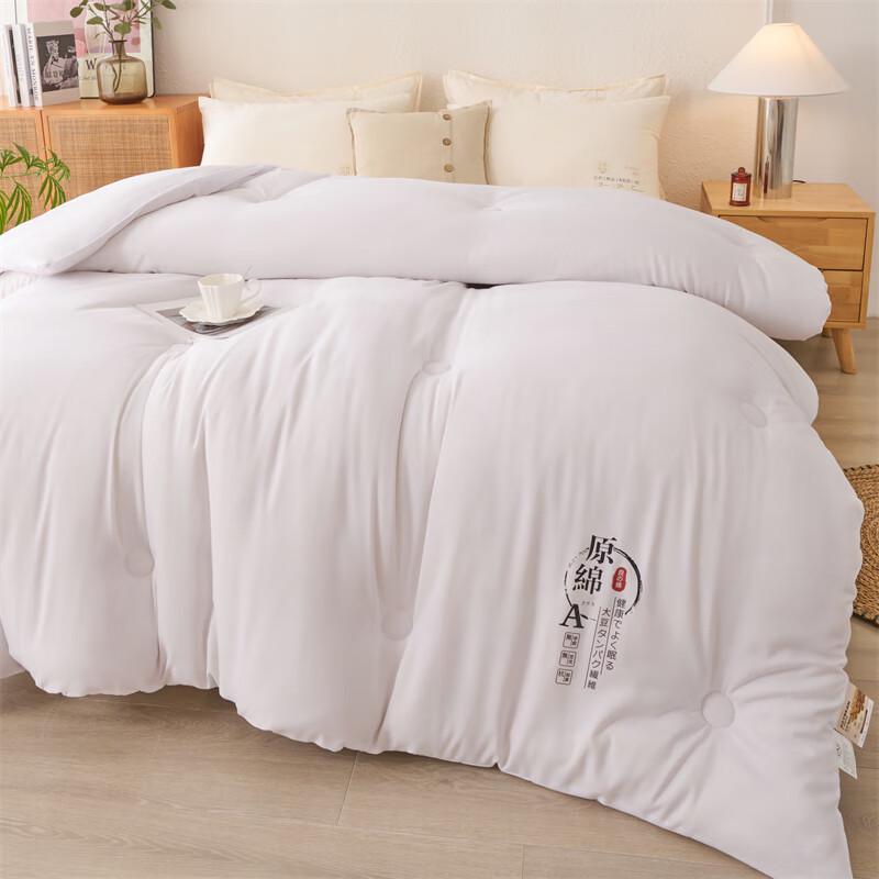 Manya Ju Warm Winter Comforter
