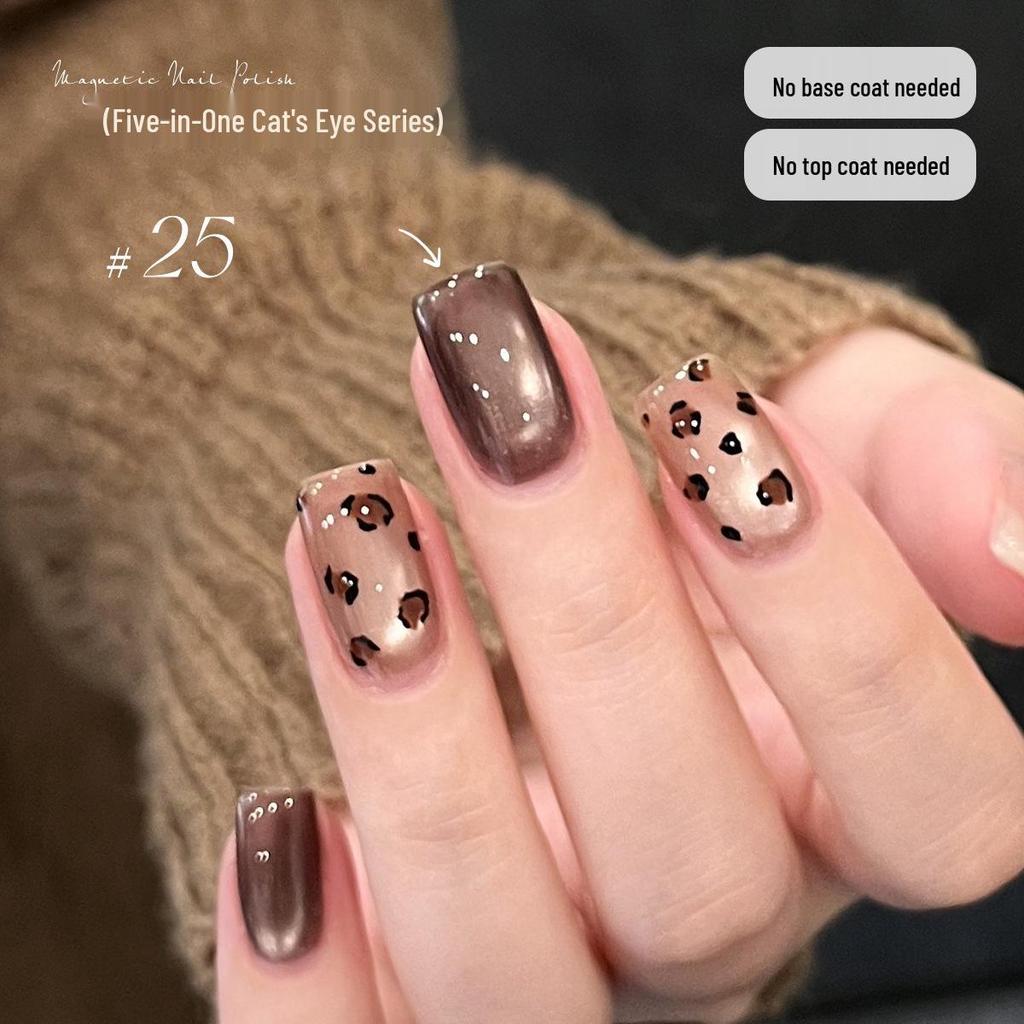 KaSi 2025 Autumn/Winter Sparkle Cat Eye Gel Polish - One-Step, Five-in-One Color for Nail Art
