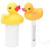 2Pcs Water Thermometer Set High Temperature Resistant Pool Chlorine Dispenser for Pond Swimming Pool