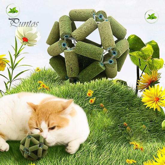 Игрушки из кошачьей мяты, натуральный шарик из палочки для клетки, шарик из кошачьей мяты, инструмент для чистки зубов домашних животных, жевательная игрушка для домашних кошек