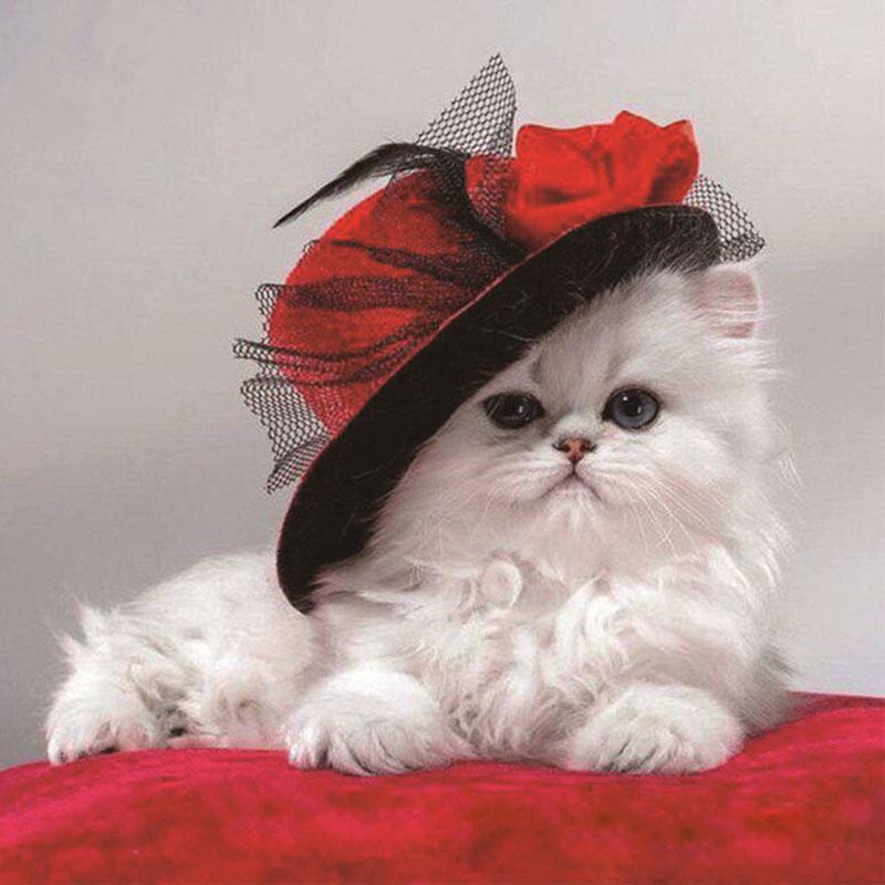 DIY Cat 5D Diamond Painting Full Round Drill Rhinestone Animal Diamond Embroidery Cross Stitch Mosaic Home Decor Wall Art