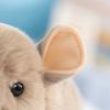 Cozy Chinchilla Plush Toys Lifelike Simulation Rat Doll Kawaii Totoro Plush Doll  Gift Giving