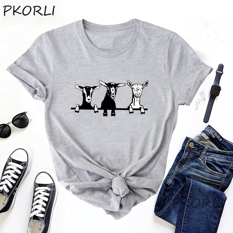 Glory Be Co Women's Cow Cute T-Shirt – 'Sorry I'm A Bit Moody Today' – Funny Farm Animal Tee – 100% Cotton