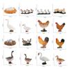 Toys Swan Model Life Cycle Figures Cycle Duck Figurine Growth Cycle Simulation White Goose