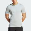 T Shirts Men's Gray Crew Neck Moderate Straight Fit IM1110