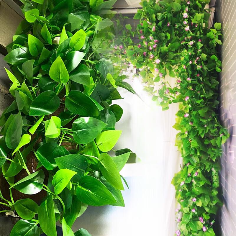 Decorazione per Tubi da Esterno con Pianta Rampicante Finta Pothos