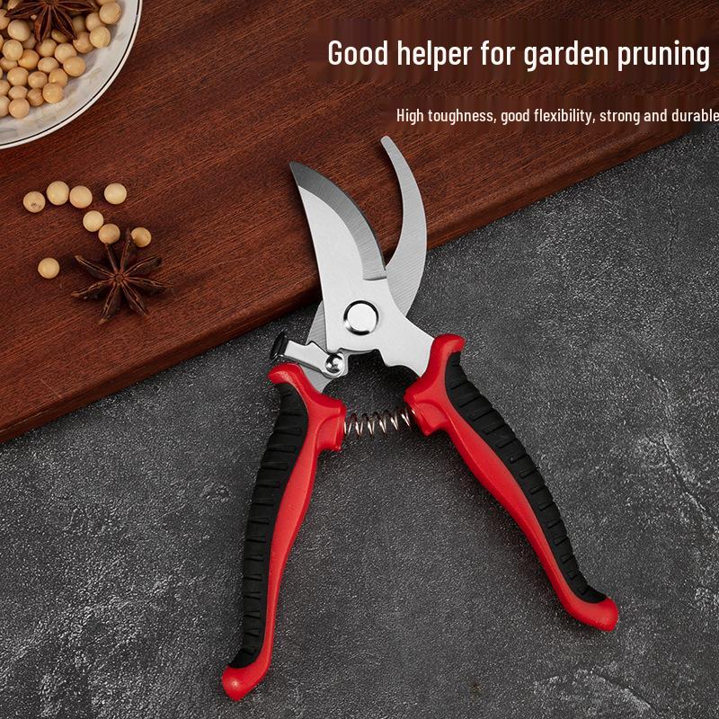Stainless Steel Multi-Purpose Pruning Shears for Garden & Flower Arrangement