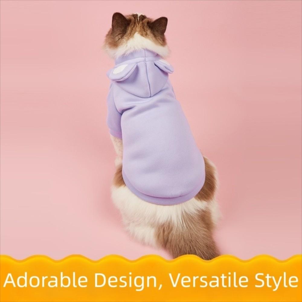 Solid Color Hairless Cat Clothes Winter Coat Bear Design Cat Hoodie Sweater Pullover Style Jumpsuit Design Pet Hoodie