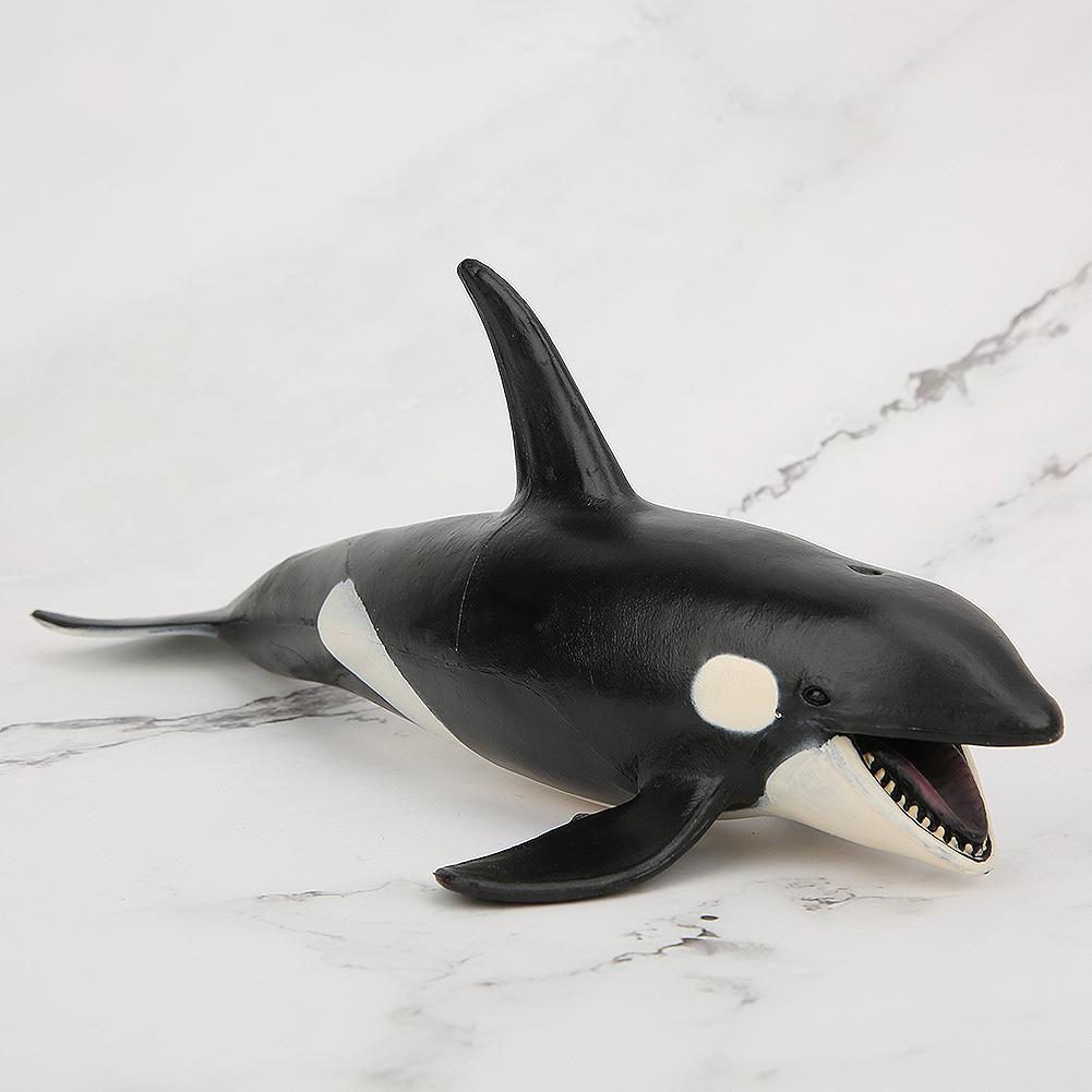 Killer Whale Shape Simulation Animal Model Marine Life Children Static Solid Toys