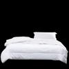 Mercury Home Textiles Yilan Negative Ion Antibacterial All-Season Quilt