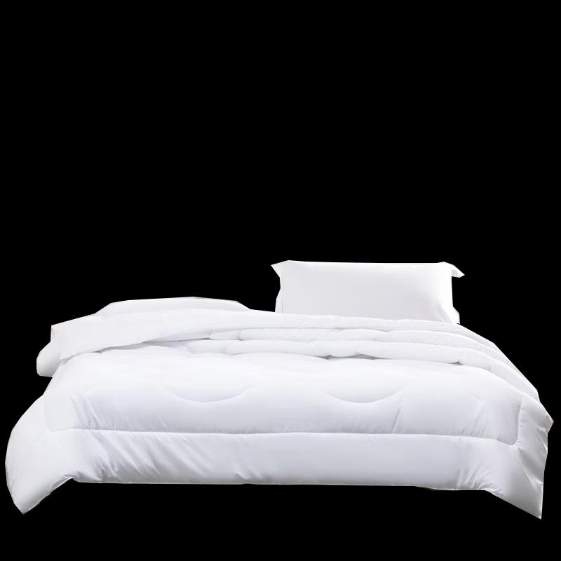 Mercury Home Textiles Yilan Negative Ion Antibacterial All-Season Quilt