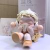 New 2025 Skullpanda Warm Series Mystery Box 1pcs /12pcs Mystery Box Action Figures Cute Toy Decoration Kid Surprised Gift