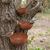 Retro Rain Catcher Metal Bird Bath Vintage Rusty Bird Feeding Bowl Rain Collectors  Yard Art