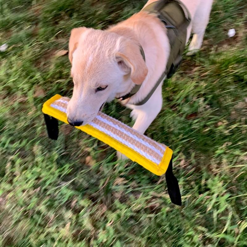 Durablity and Tear Resistant Dogs Tug Toy Training Chew Toy for Indoor and Outdoor Training Great for Large Dog Breeds