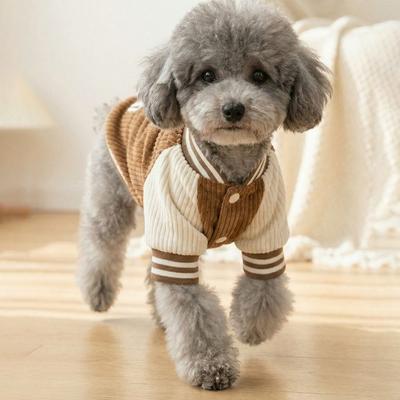 Warm Pet Baseball Jackets Comfortable Thicken Two-Legged Dog Clothing Embroidered Patterns Dog Sweatshirt Daily Walk