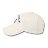 DOLPHIN WAVE APPAREL Dolphin Lettering Ball Cap_123824IV