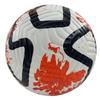 Ziwuqian Kids & Youth Soccer Ball