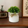 Artificial Plants in Hemisphere Pot Mini Potted Green Plants for Home Desk Decoration Indoor Outdoor Decor B2U3