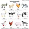 Realistic Farm Animal Models: Big Yellow Duck, Rooster, Turkey, Goose, and Swan