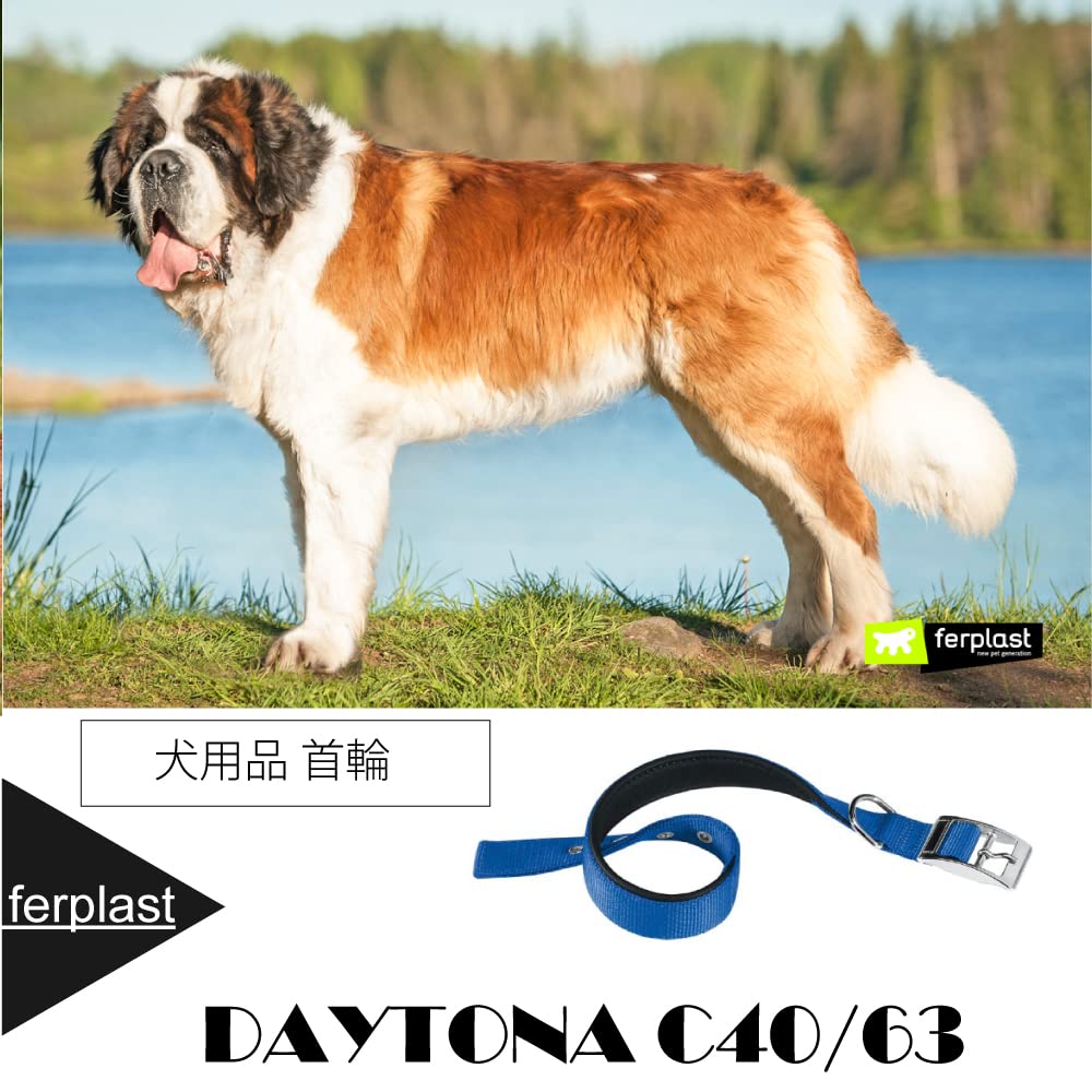 Ferplast Daytona Collar, Blue, C, 40/63
