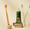Median Green Propolis Toothpaste 100g*3