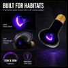E26 Base Heating Light Bulb High Temperature Resistance Night Light Bulb Amphibian Heat Lamp  Pet