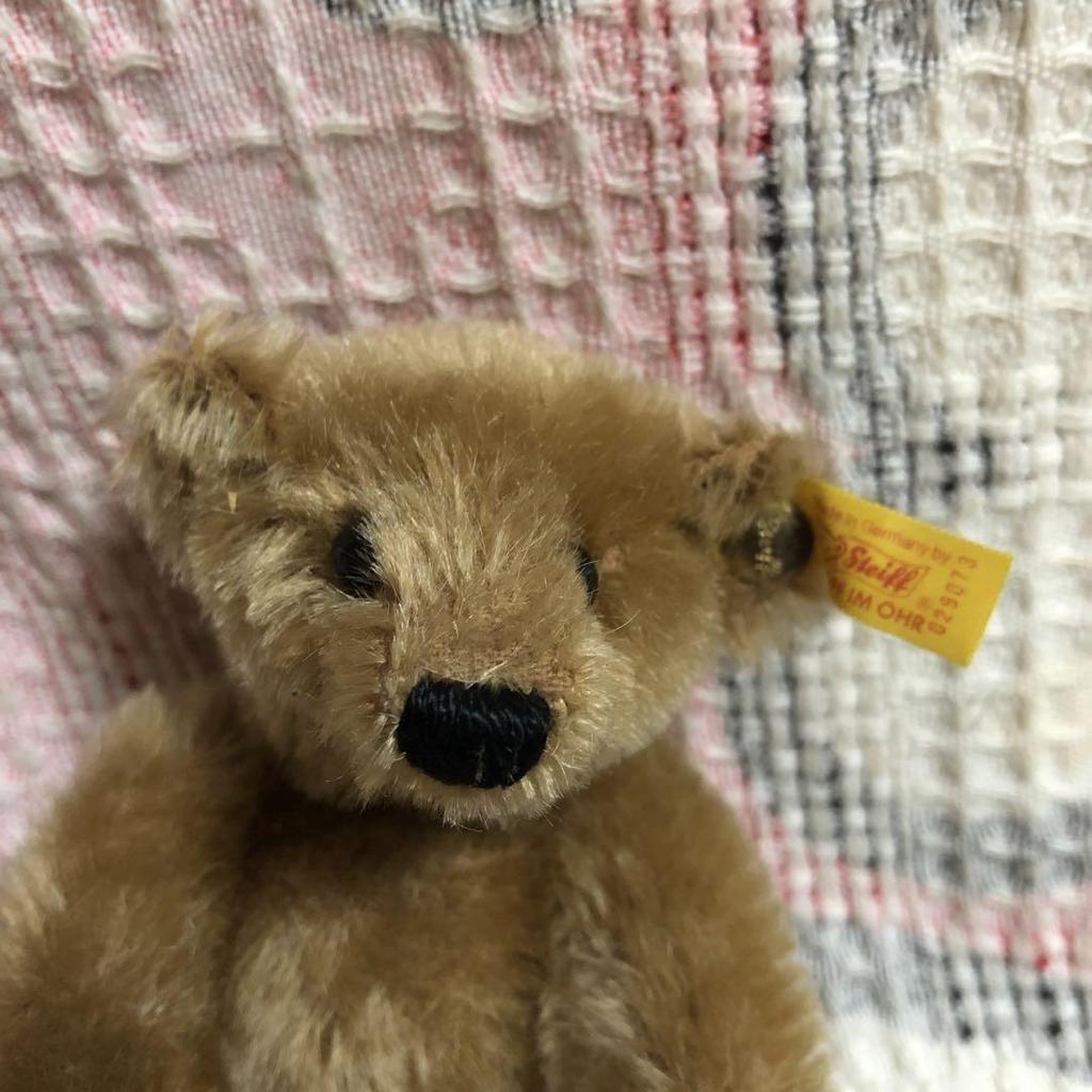 [USED] Steiff 029073 Cinnamon Bear Teddy Bear Plush Toy