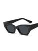 Vintage Small Rivet Cat Eye Sunglasses Women Fashion Brand Luxury Designer Polygon Cat-eye Sun Glasses UV400