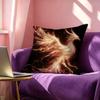 Cool P-Phoenix Square Double-Sided printed Pillow Case Bedroom Bedside Pillow Sofa Cushion Cover