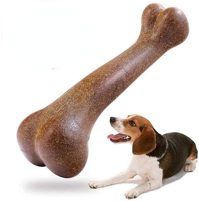 Jouets en os au goût de bœuf pour chiens de petite, moyenne et grande taille Jouets non toxiques anti-morsures pour chiots Jouets à mâcher pour animaux de compagnie Jouets de soins dentaires Accessoires pour chiens