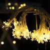 Outdoor Camping Atmosphere String Lights - Low Voltage Decorative Tent Lighting