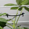 1000~2000Pcs Garden Plants Vines Fixed Clips Tied Buckles Lashing Hook for Kiwi Grape Cucumber Tomato Stems Fastener Gadgets