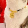 Pet New Year Collar: Adjustable Longevity Lock Necklace for Cats & Small Dogs