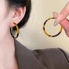 Spicy Girl Vibe: 2025 Sweet & Cool Niche Tassel Earrings - Chic & Slimming Long Design