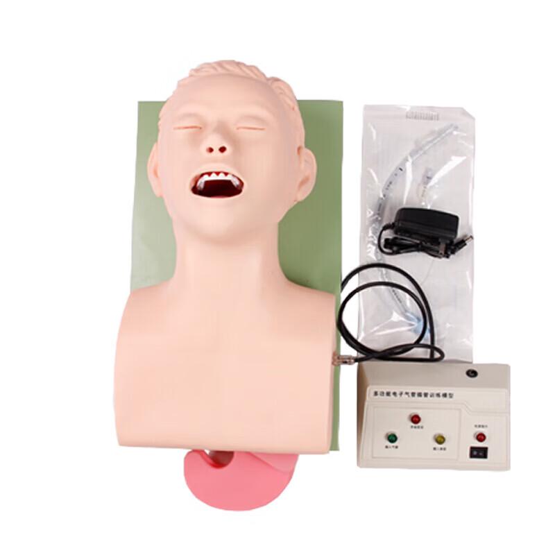 Adult Tracheal Intubation Training Model